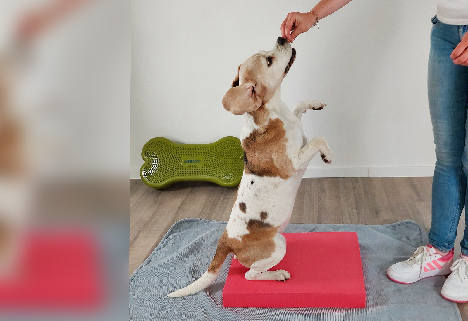 Balance Pad Gleichgewicht und Koordination fördern