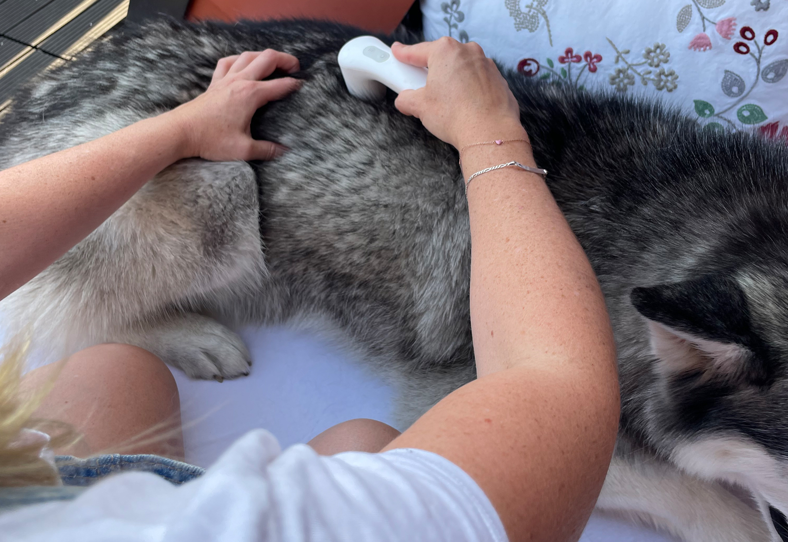 Physiotherapie Köln - Manuelle Therapie Hund Ultraschallbehandlung Novafon Vibration Gerät Muskelverspannung lösen Triggerpunkte